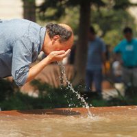 Alerta por ola de calor: estos son los lugares con nivel extremo