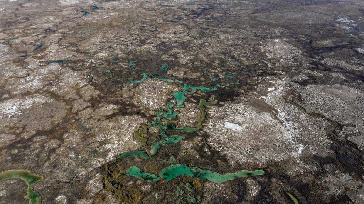 Contaminación en el río Mezquites, en el desierto de Cuatrociénegas