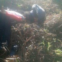 Dejan cuerpos de dos ejecutados en un basurero en Chiapas
