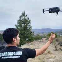 Neuquén incorporó un sistema de cámaras inteligentes para monitorear en tiempo real y proteger a la fauna