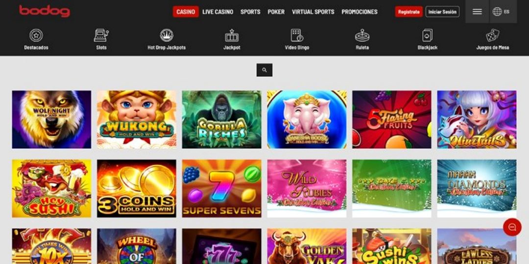 bodog