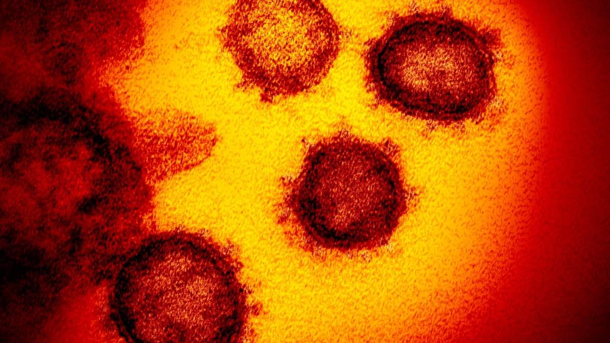 El coronavirus afecta a más de 170 países. Fuente: (Twitter)