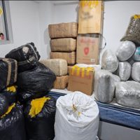 Decomisan 400 kilogramos de mariguana en la colonia Morelos de la CDMX