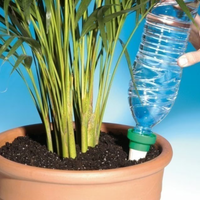 Cultivá tus propios tomates en botellas autorriego con esta sencilla y efectiva técnica de los viveristas