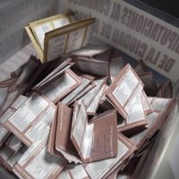 Injerencia del crimen organizado llegó a 42% en las pasadas elecciones