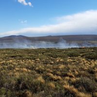 Tras cinco días de extenuante trabajo, controlaron el incendio en Loncopué