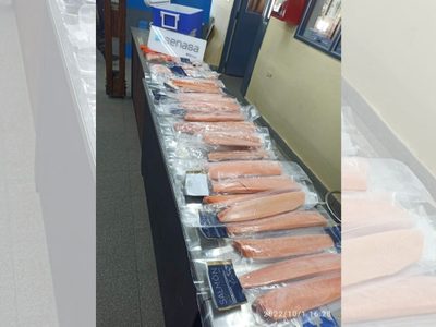 Detectaron 22 kilos de salmón que intentaban ingresar al país desde el paso Cardenal Samoré