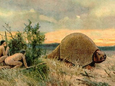 Los humanos prehistóricos habrían influido en la extinción de los armadillos gigantes