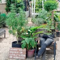 SSC recuperó el parque Luis Pasteur ocupado por grupos a favor de la despenalización de la marihuana