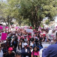 Mariachi ameniza la manifestación en defensa del INE en Guadalajara (Video)