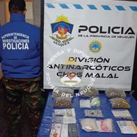 Narcomenudeo: importante secuestro de marihuana y cocaína en Andacollo