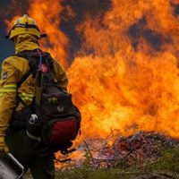 Proponen crear por ley un Plan Provincial de Manejo del Fuego