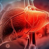 La OMS notifica más de mil casos de hepatitis aguda grave en niños de todo el mundo