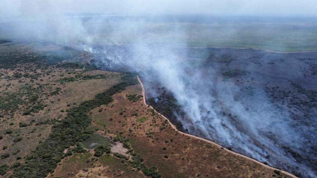Incendios en Corrientes. Fuente: (Twitter)