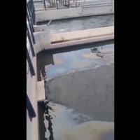Descubrieron una extraña mancha de aceite en la toma de agua potable Cutral Co y Plaza Huincul