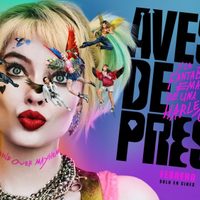 "Aves de presa" Es un éxito en todos los cines ¡Aquí están los motivos para ver la película!