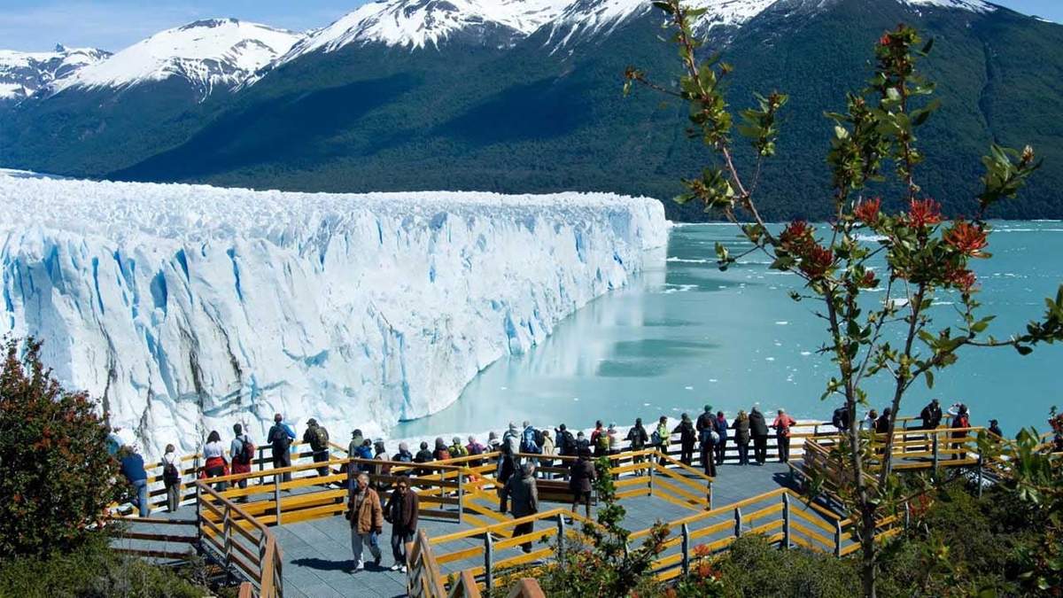 Calafate. Fuente: (X)