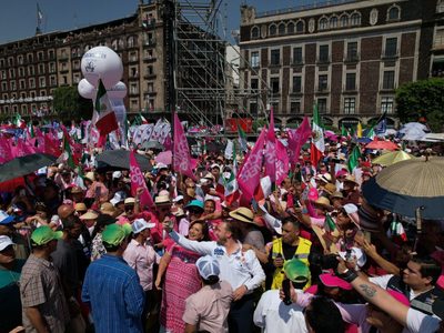 La “marea rosa” plantea formar un partido político; convocan a reunión