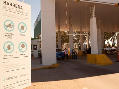 Figueroa quiere mantener la barrera sanitaria para que no ingrese carne con hueso a la provincia desde otros lugares
