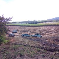 Suman 33 los cuerpos localizados en fosas clandestinas en Nayarit