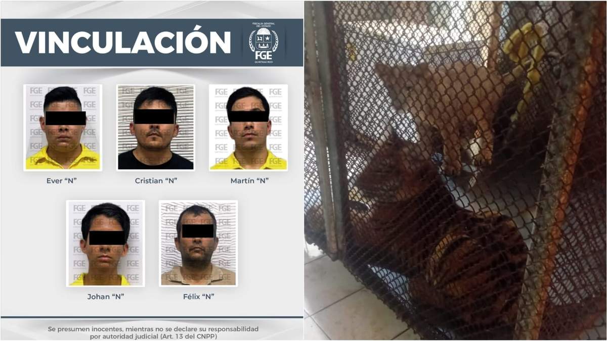 Los cinco vinculados a proceso por explotación animal y dos cachorros de fauna silvestre y exótica que fueron rescatado