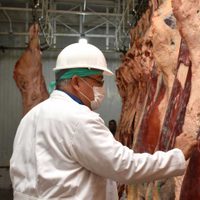 Carne: dos provincias piden a sus gobernadores a que el Estado nacional levante las restricciones