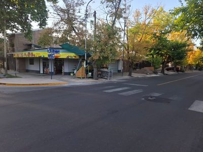 El insólito peligro en las calles de Guaymallén
