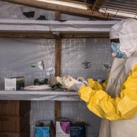 OMS confirma el primer caso de muerte causada por el virus de Marburgo en África Occidental