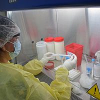 Confirman 88 nuevos casos de coronavirus: ya son más de mil en todo el país