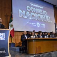 PAN descarta alianza con MC en Jalisco