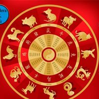 Cuáles son los signos del horóscopo chino más compatibles a la hora de dar el sí