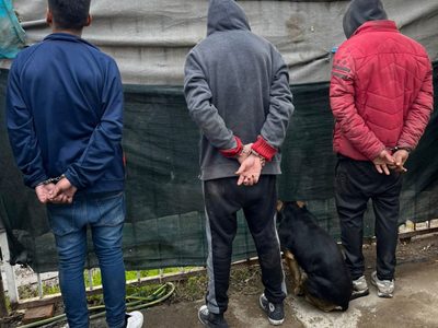 Buscaban una bicicleta y dieron con un kiosco narco en el barrio La Sirena