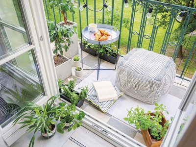 El truco viverista para hacer esquejes de tus plantas y no gastar fortuna en comprar unas nuevas