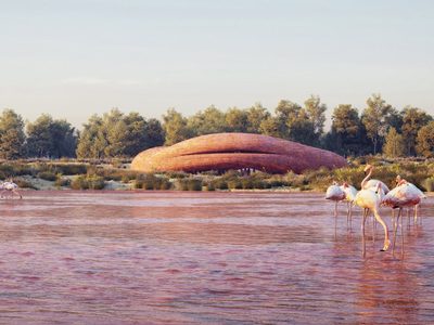 Reserva natural, flamencos y edificios futuristas en un paraíso de Abu Dhabi