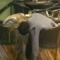 Ataque en un bar de Irapuato deja cinco muertos (Video)
