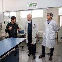 ¿Tiene coronavirus? Este es el resultado del test que se realizó Axel Kicillof