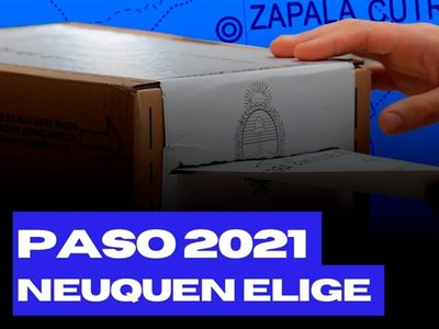 PASO 2021: seguí el minuto a minuto de los resultados de las elecciones primarias