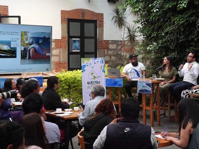 Jueza otorga medidas cautelares a favor de ballenas contra buques metaneros del proyecto Saguaro