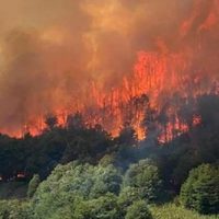 Ortíz Luna reconoció que los incendios en Valle Magdalena están “absolutamente descontrolados”