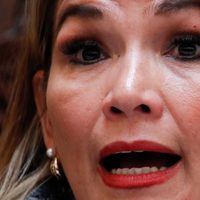 Mediante decreto, Áñez promete inmunidad a las fuerzas armadas durante protestas en Bolivia