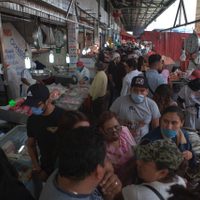 ONG detecta fraude en venta de bacalao: lo sustituyen con otras especies