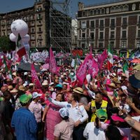 La “marea rosa” plantea formar un partido político; convocan a reunión