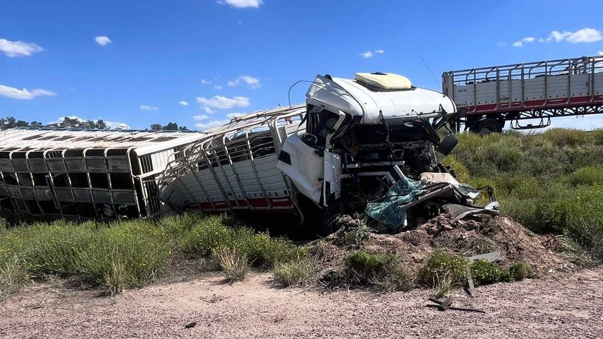 Volcó un camión con 65 vacas en Las Catitas
