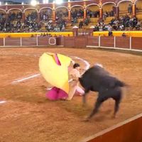 El torero José Alberto Ortega sufre brutal cornada en la cara en Tlaxcala; lo reportan grave (Video)