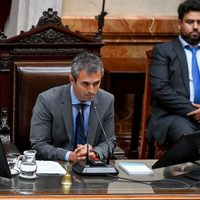 Martín Menem insistió en aprobar la Ley de Bases "tal cual la pidió el presidente"