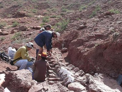 El director del Museo Olsacher de Zapala brindará una charla para conocer al Titanosaurio