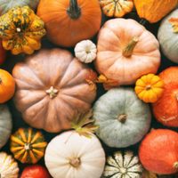 El zapallo está barato: aprovechá y hacé esta mermelada especiada con solo 4 ingredientes