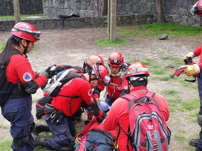 Los topos mexicanos ya están en Miami