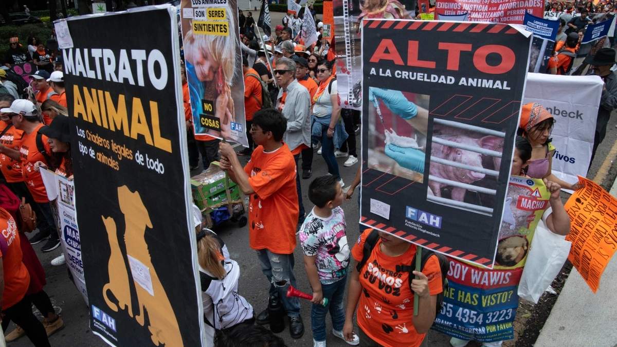Marcha Nacional por el derecho de los animales en la CDMX