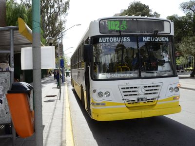 Sputnik V: los choferes de colectivo reclaman ser vacunados